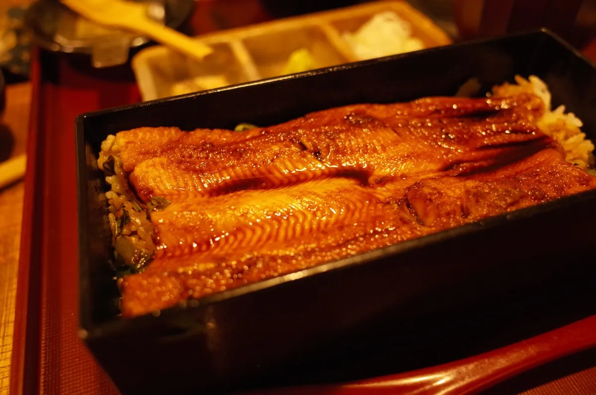 お出汁をかけて櫃まぶし風にするのは、さっぱりして鰻より好みでした