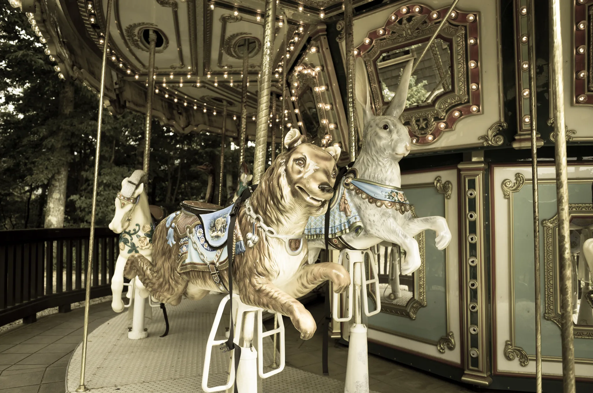 アクの強いメリーゴーランド