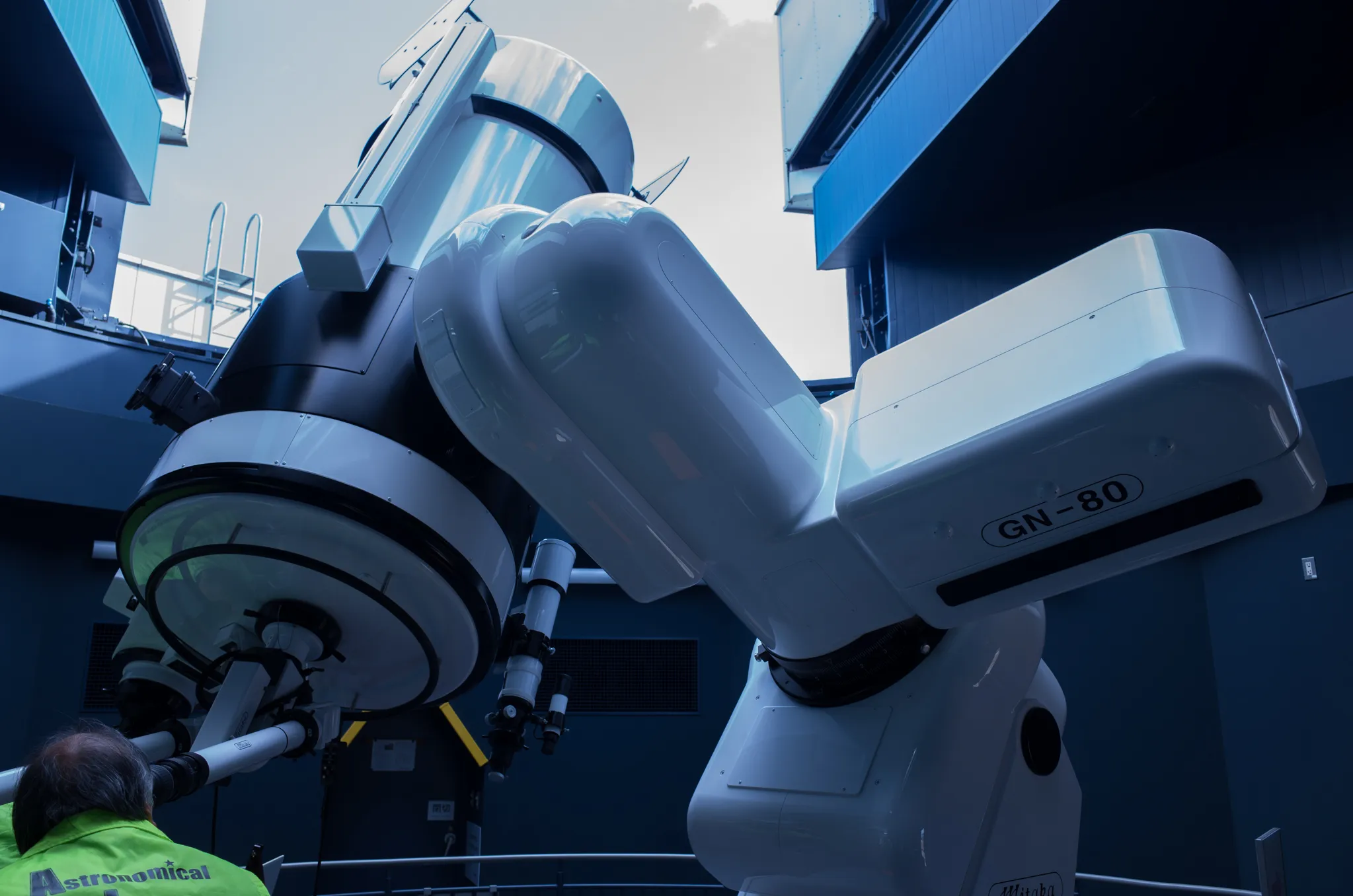 めちゃくちゃデカかったです