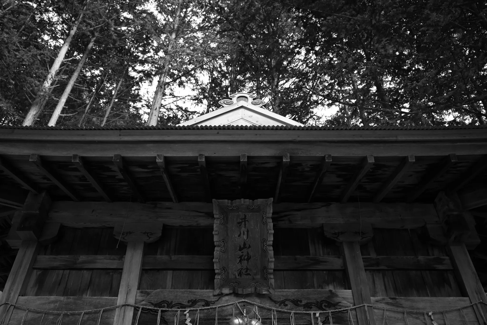 R0009523.jpg