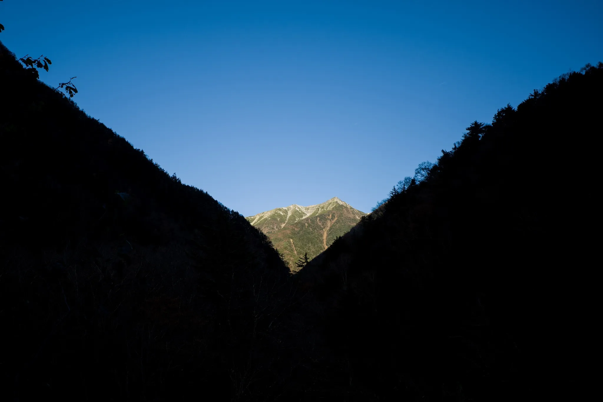 R0009533.jpg