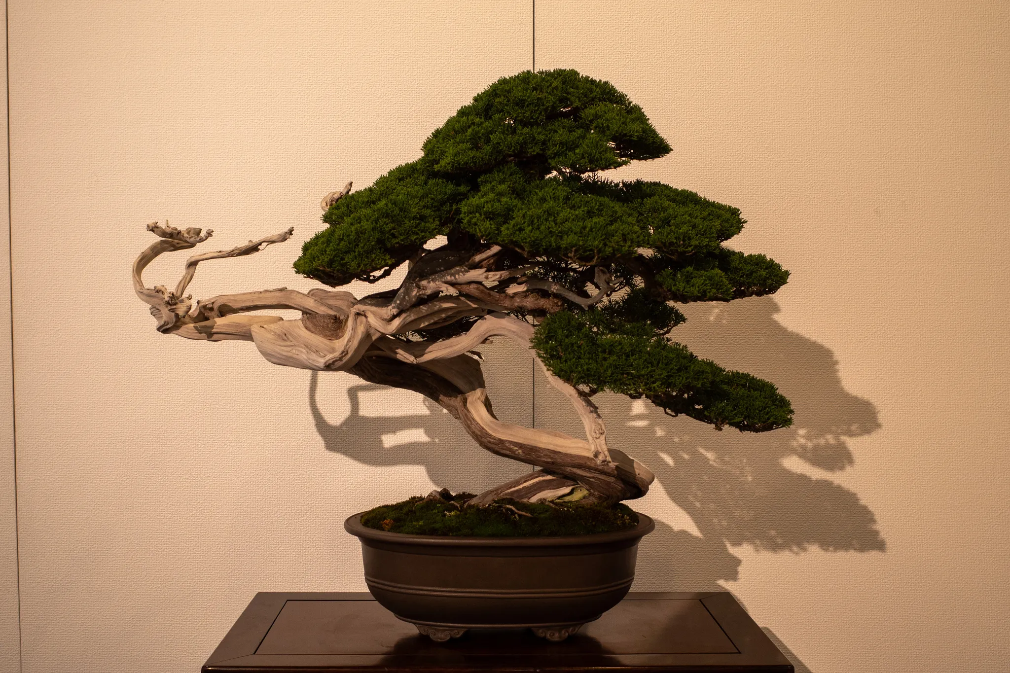 R0010315.jpg