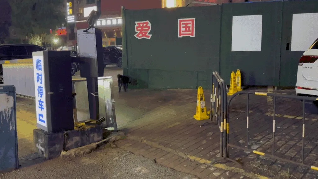guanzhou_night_dog