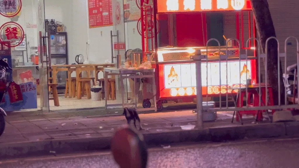 guanzhou_street_dog